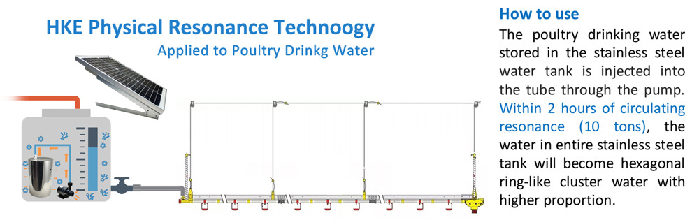 AquaHex Hexagonal Water for Poultry